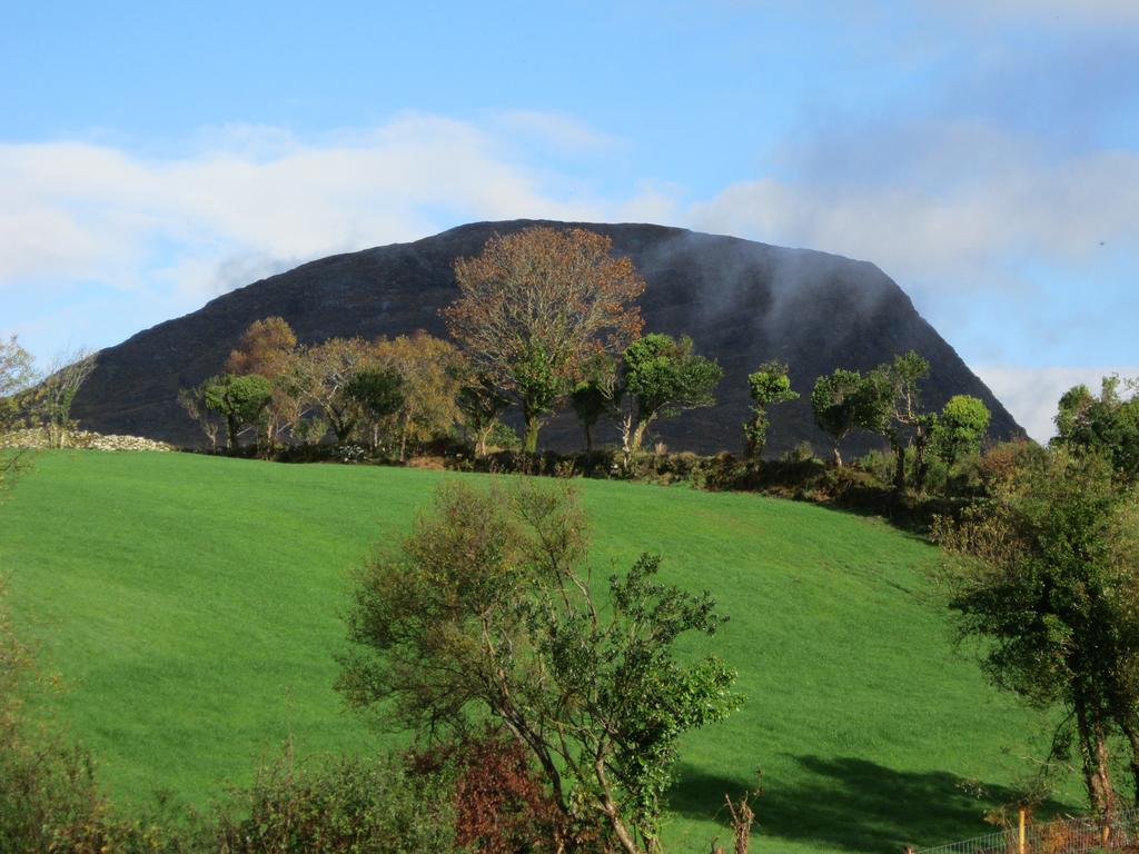 Feirm Cottage Kenmare Bagian luar foto