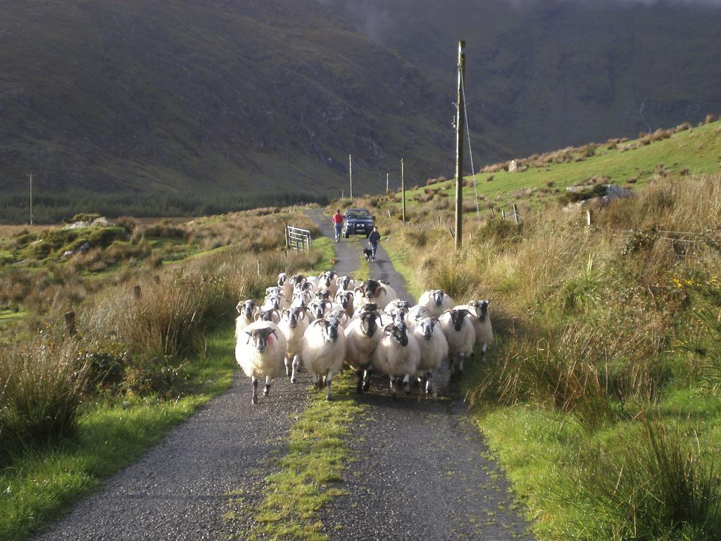 Feirm Cottage Kenmare Bagian luar foto